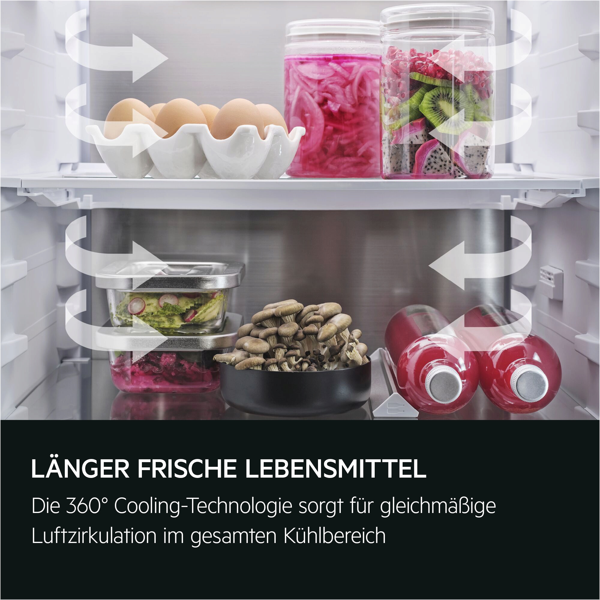 AEG - Einbau-Kühl-Gefrierkombinationen - TSC8M183CC