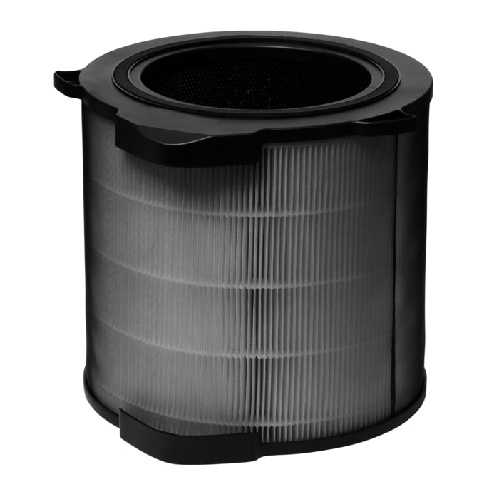 AEG - Filter für Luftreiniger - AFDBTH4