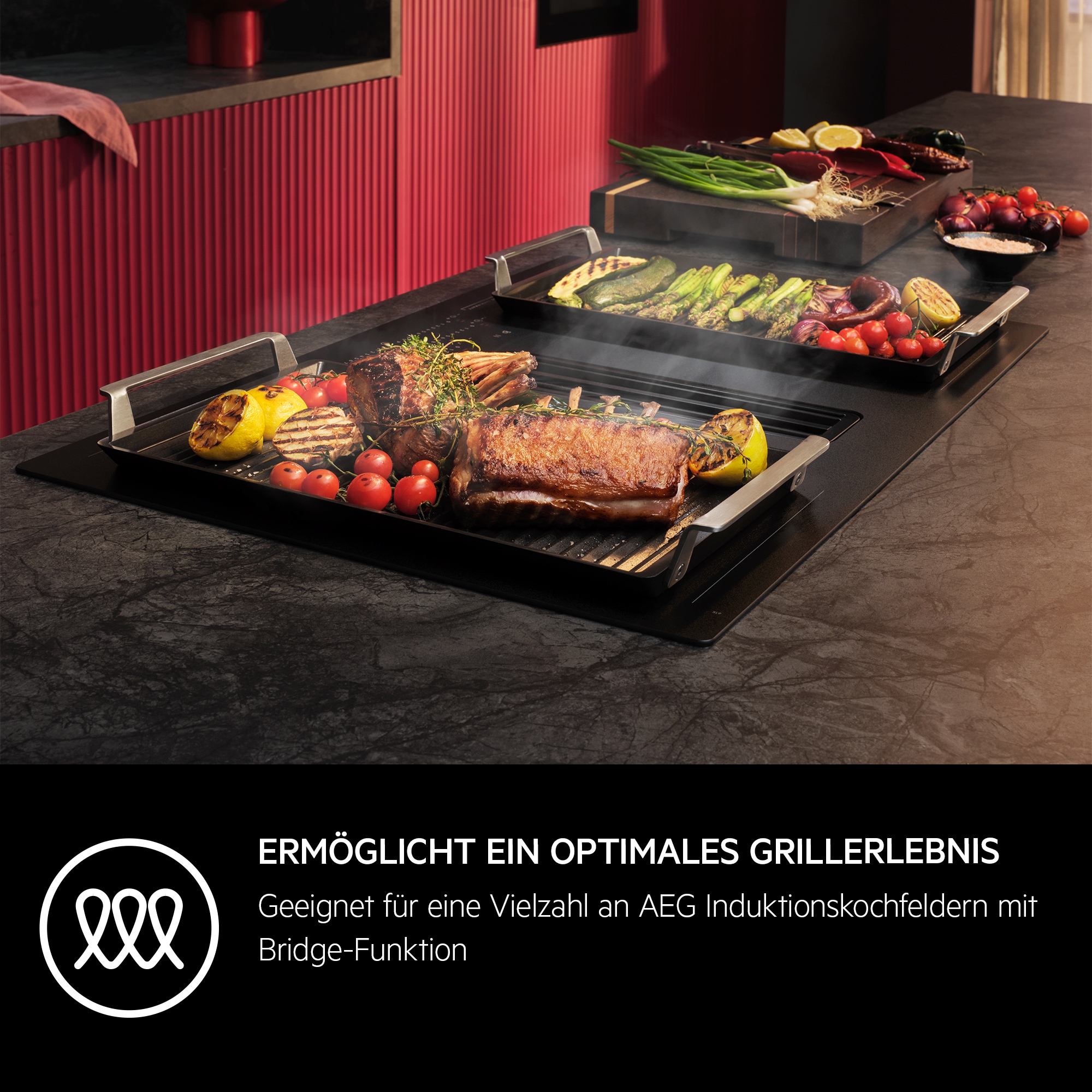 AEG - Infinite Plancha Grill - A9HHPG11