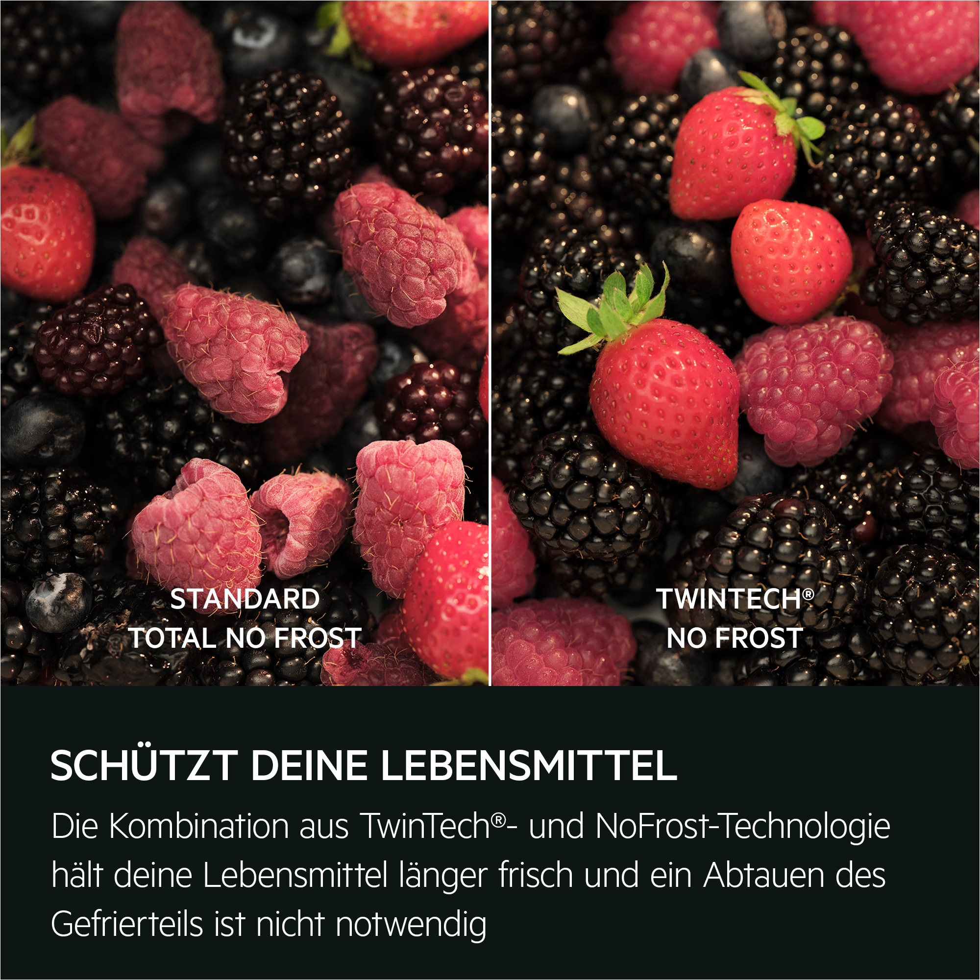 AEG - Einbau-Kühl-Gefrierkombinationen - TSC8M18WCC