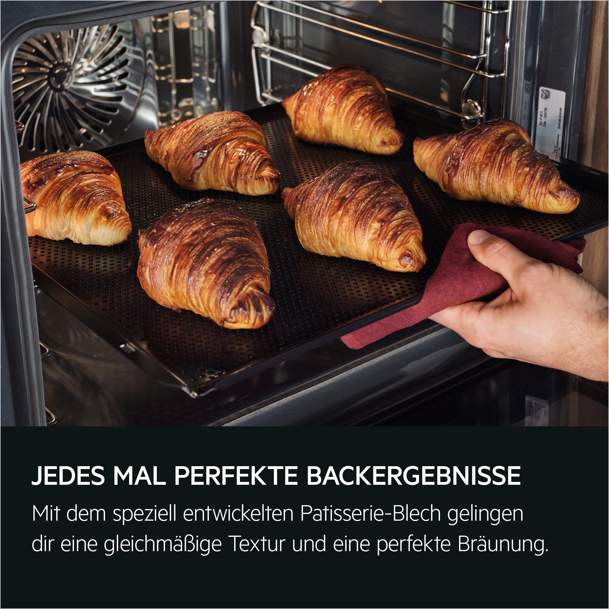 AEG - Dampfbacköfen - CS9900T
