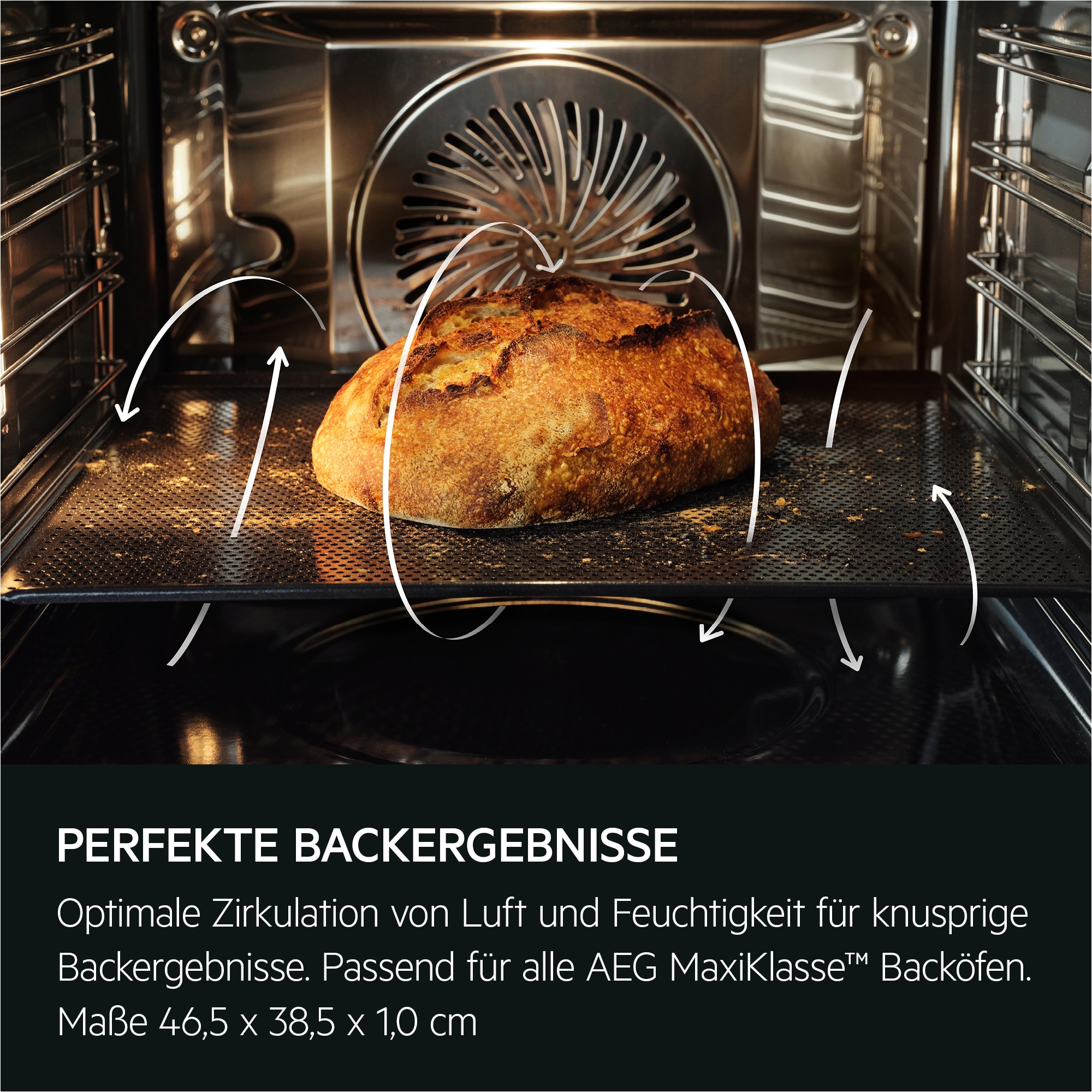 AEG - Dampfbacköfen - BS9900T