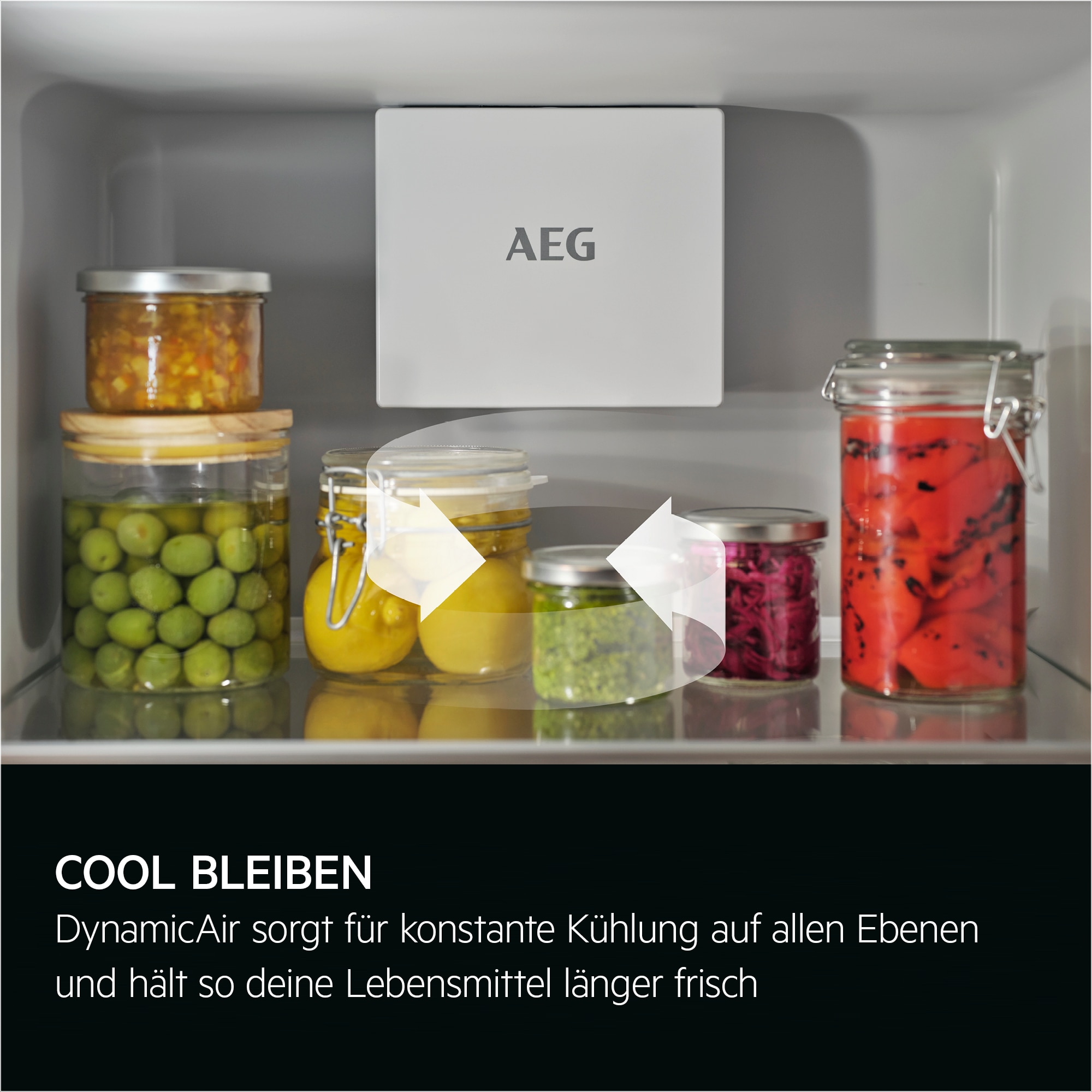 AEG - Einbau-Kühl-Gefrierkombinationen - G19FS