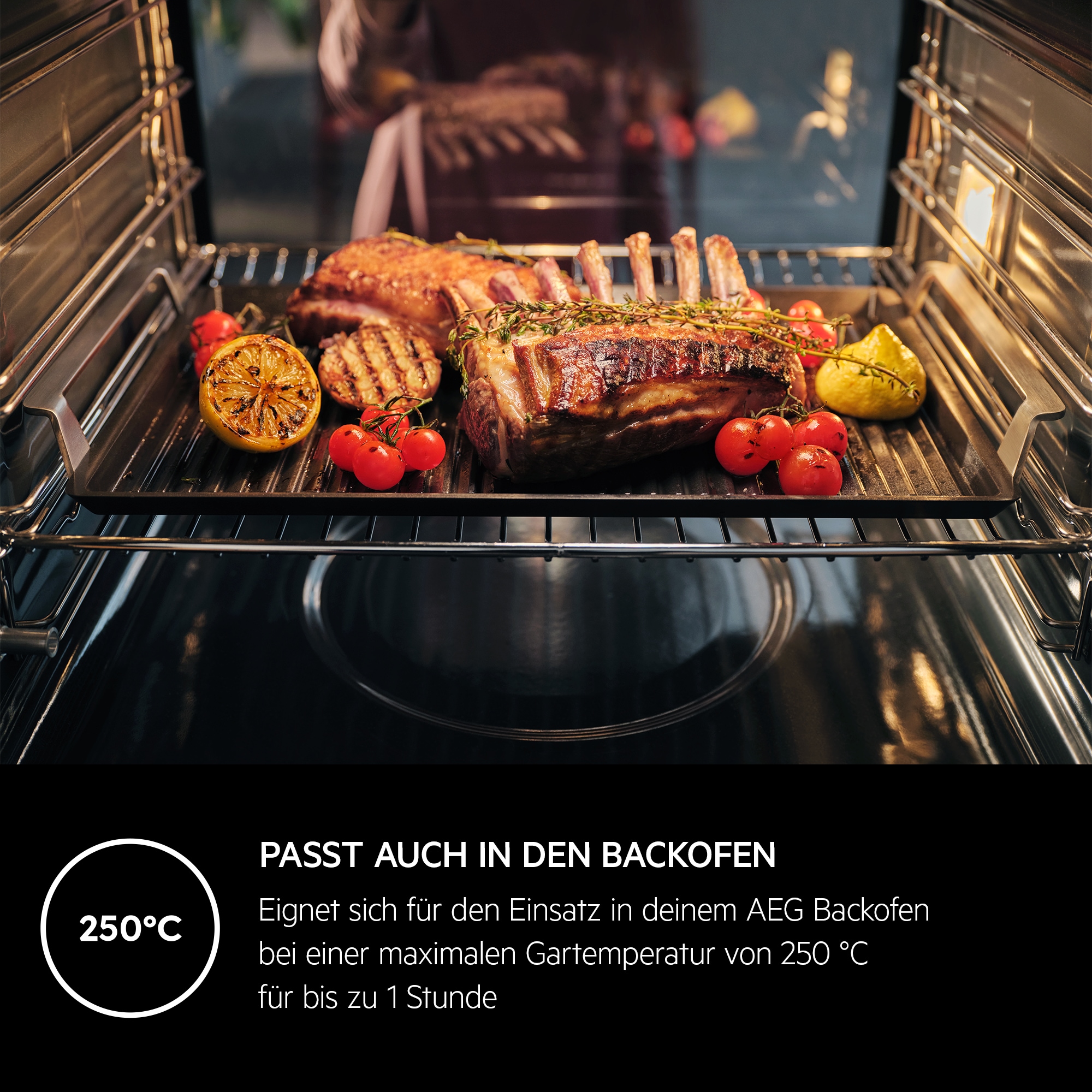 AEG - Infinite Plancha Grill - A9HHPG11