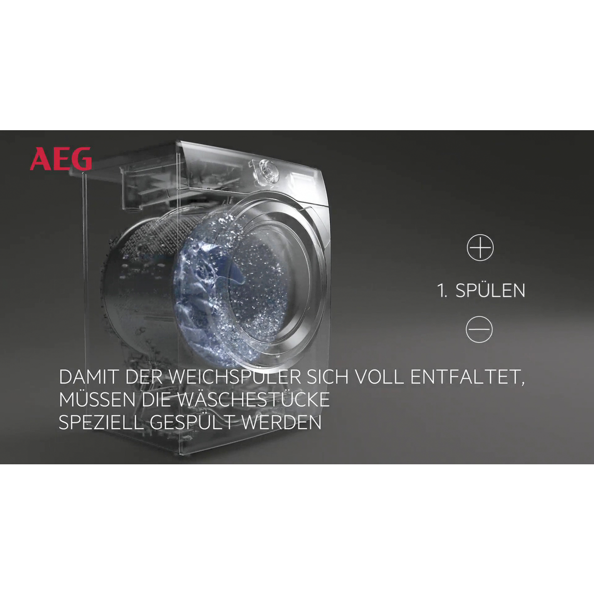 AEG - Waschmaschinen 9 kg - L6FB49VFL