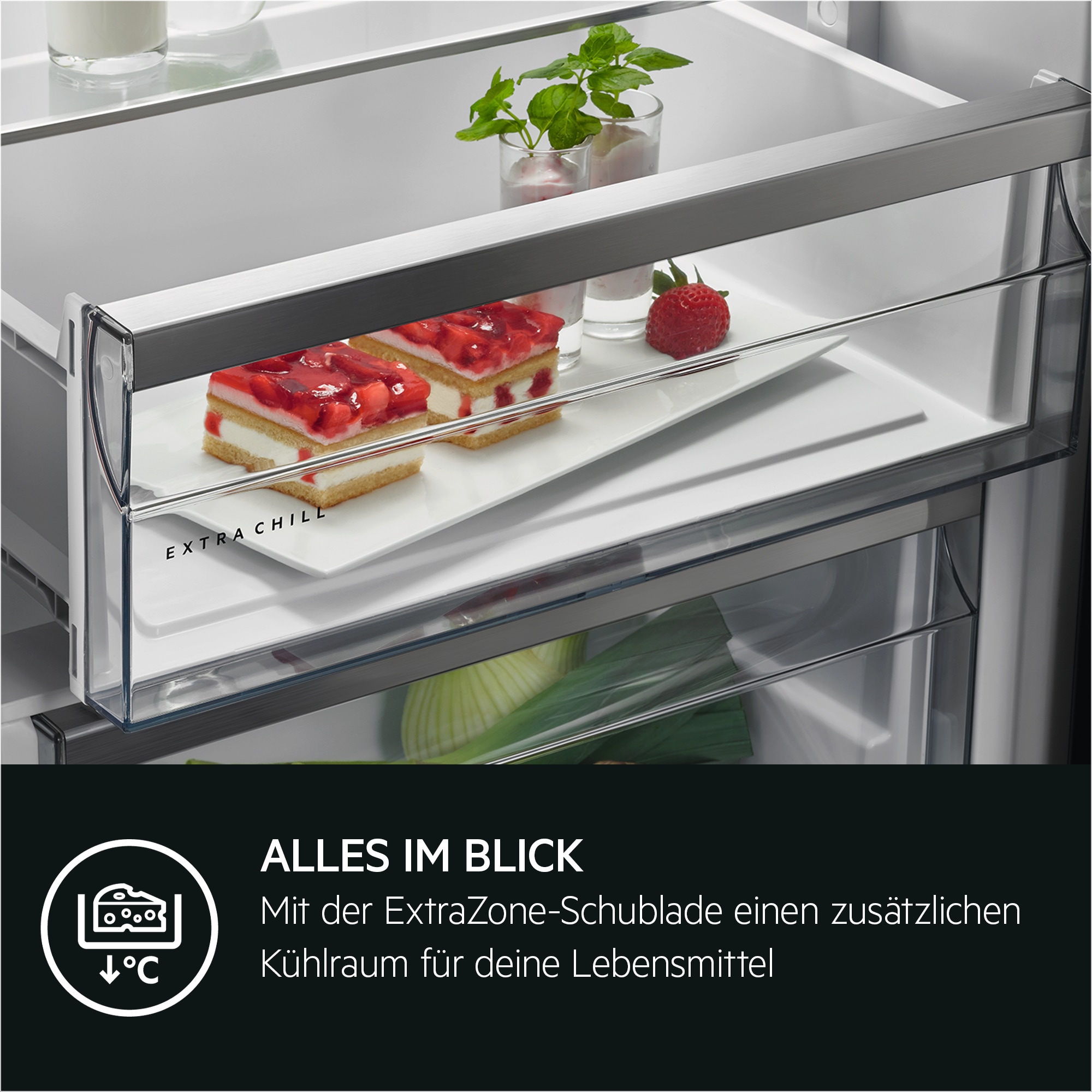 AEG - Einbau-Kühl-Gefrierkombinationen - TSC6M183ES