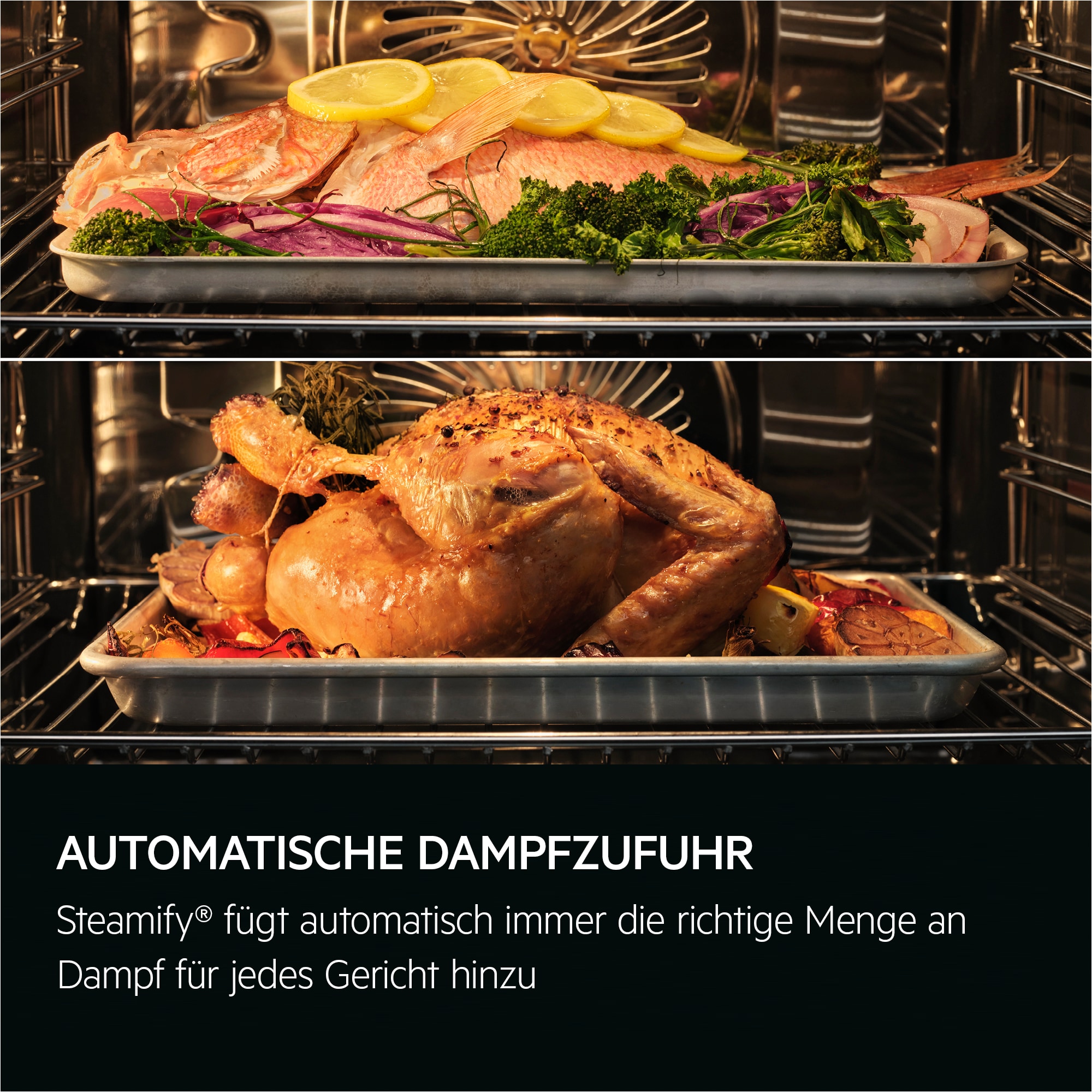 AEG - Einbaubacköfen, -herde und -dampfbacköfen - BDS78B