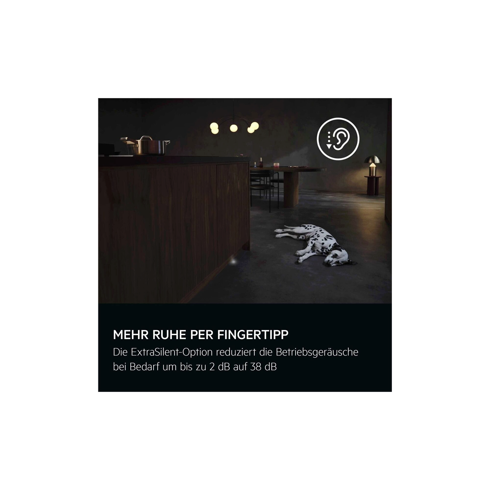 AEG vollintegrierter Geschirrspüler in dunkler Küche mit Dalmatiner; Text: „Mehr Ruhe per Fingertipp“.
