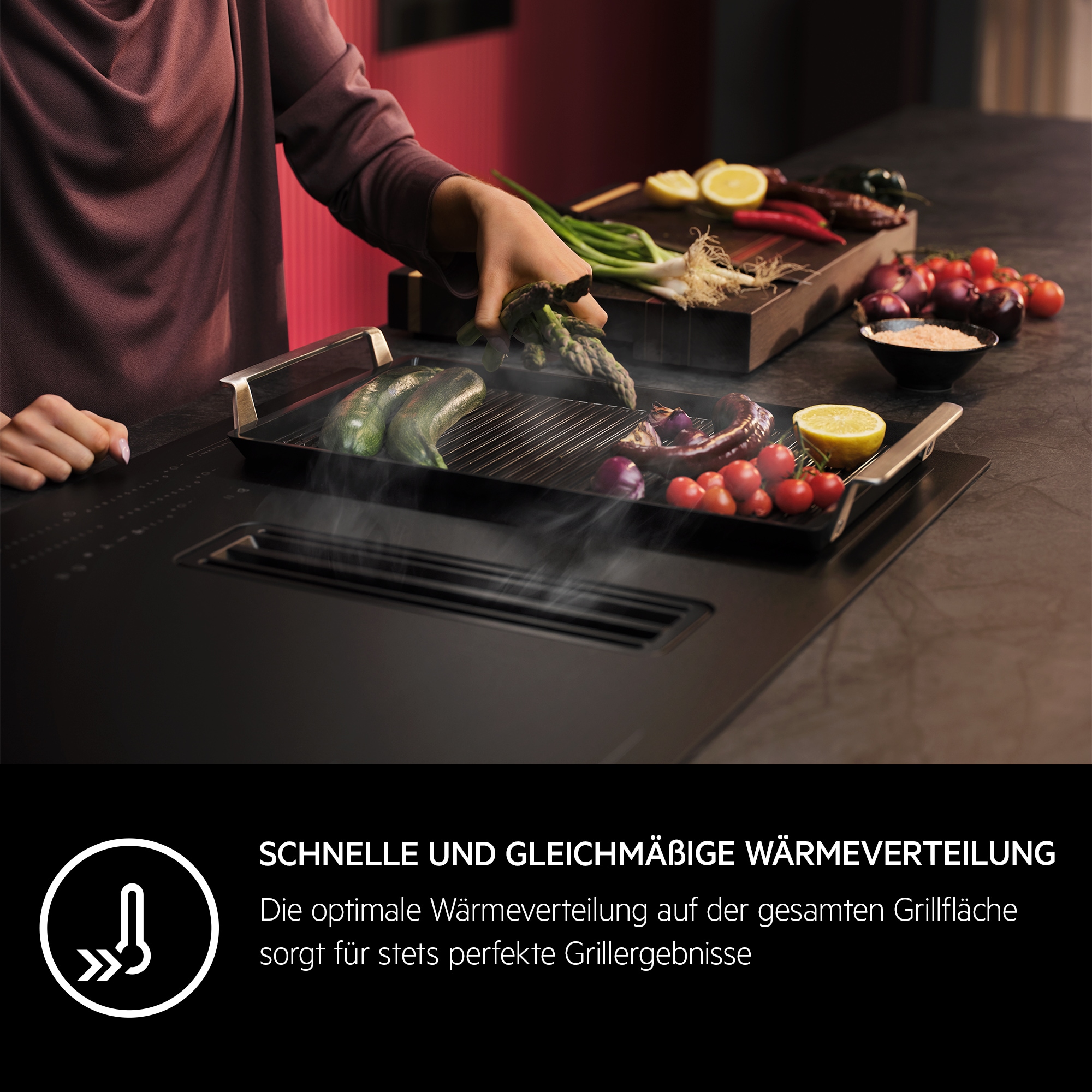 AEG - Infinite Plancha Grill - A9HHPG11
