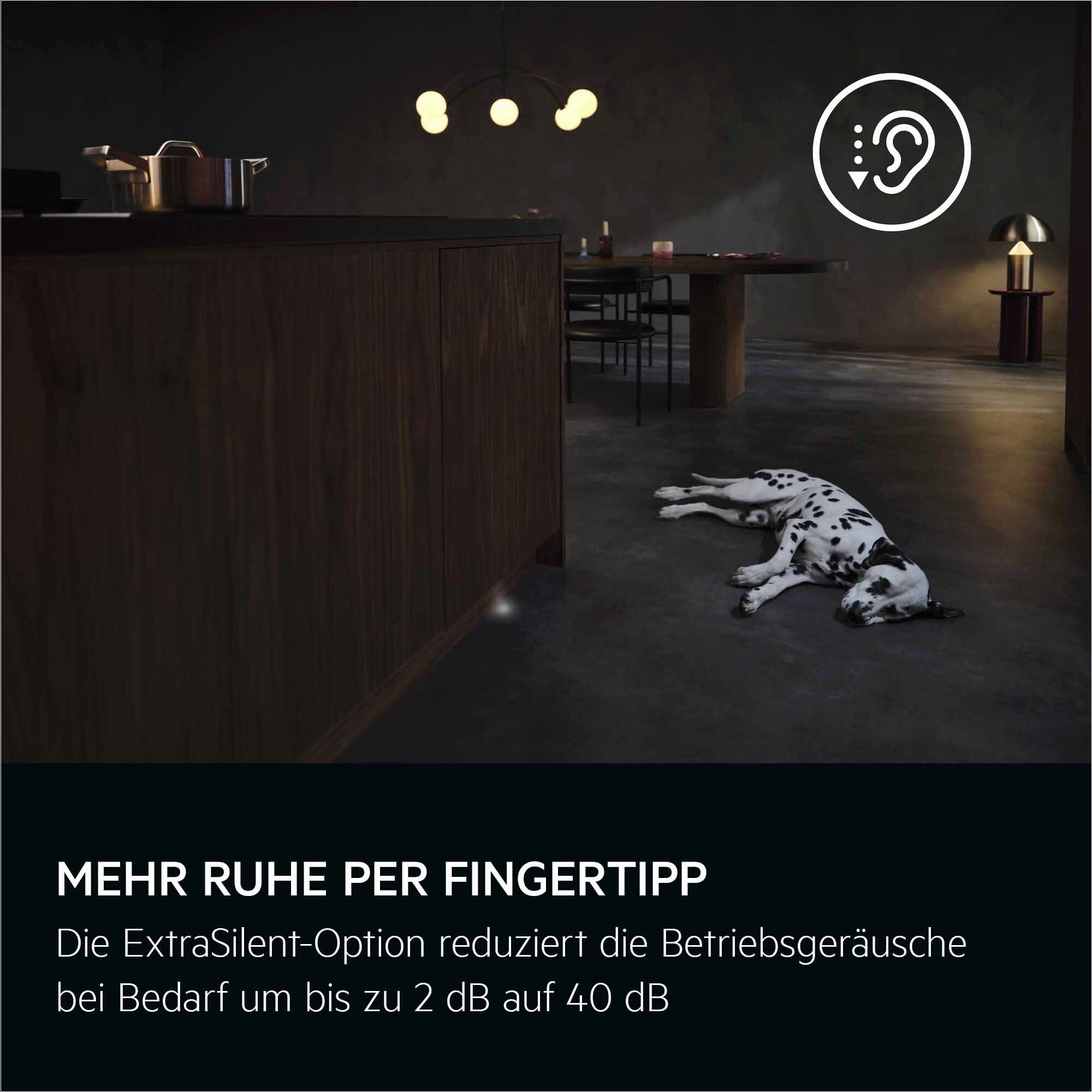 AEG vollintegrierter Geschirrspüler in dunkler Küche mit Dalmatiner; Text: „Mehr Ruhe per Fingertipp“.