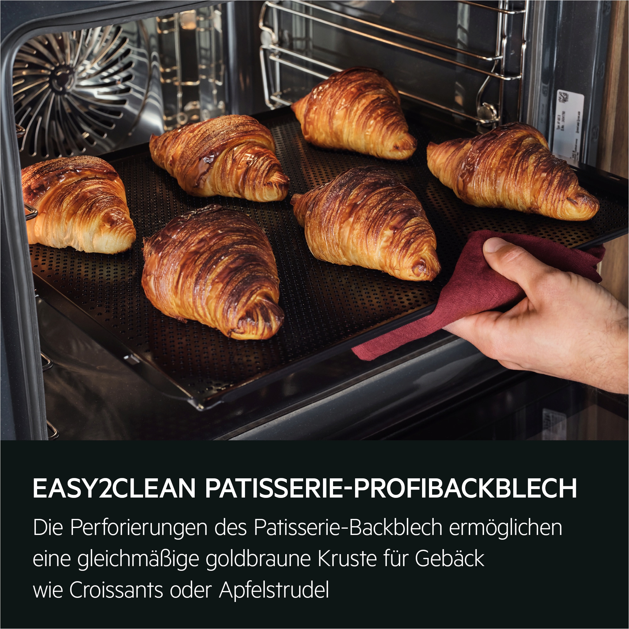 AEG - Dampfbacköfen - BS9900T
