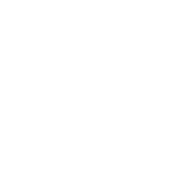 Individuelle Kochzonensteuerung