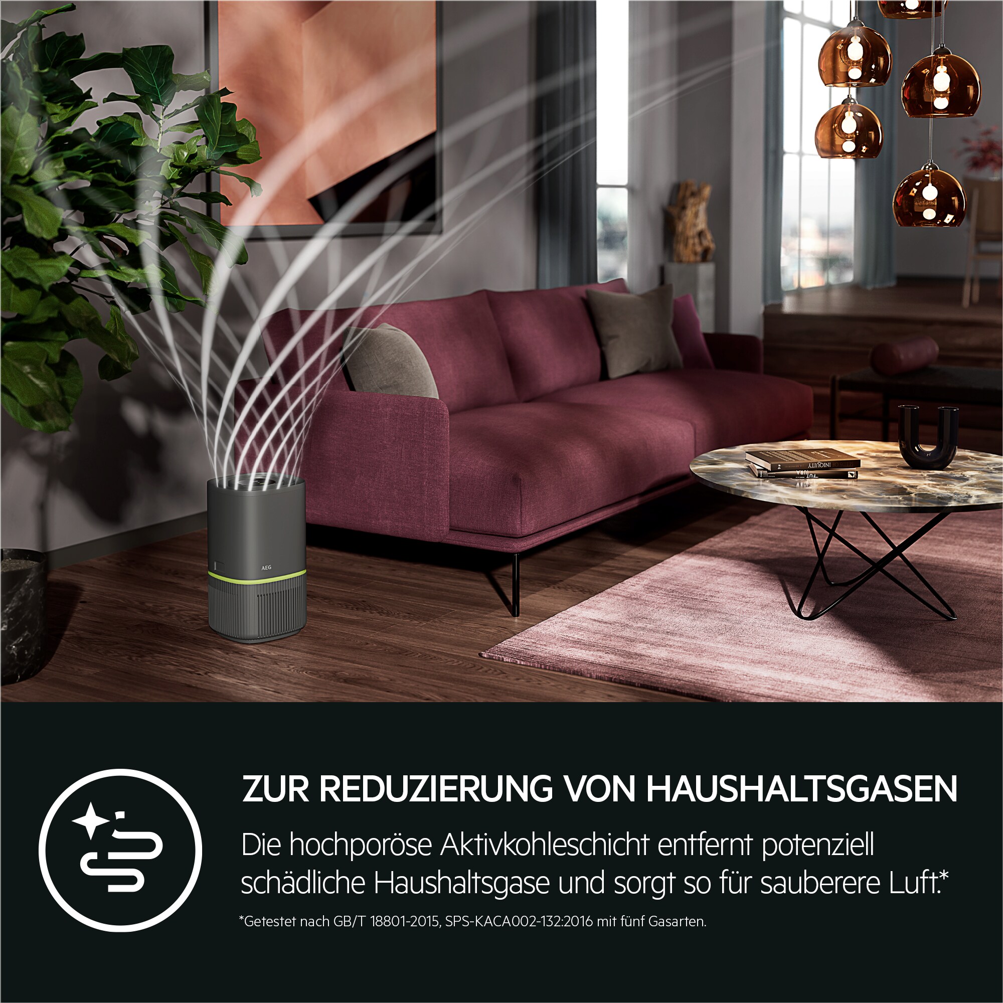 AEG - Filter Luftreiniger - AFFCLN2