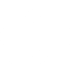 TwinTech®-Technologie