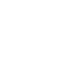 Bridge-Funktion 