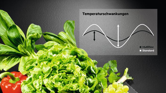 Salat in einem Kühlschrank mit MultiFlow