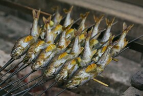 Fische, die auf Kohle gegrillt werden