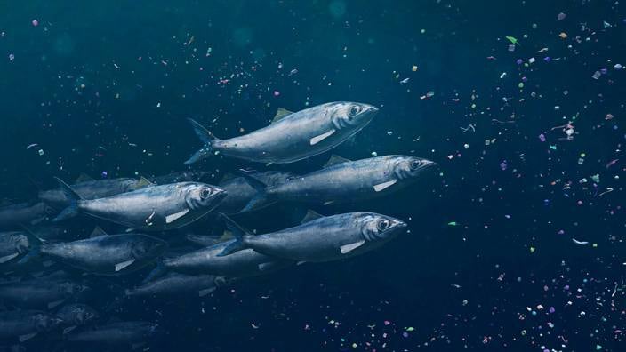 Dead fish in sea icon