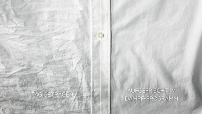 ProSteam® Dampfprogramm