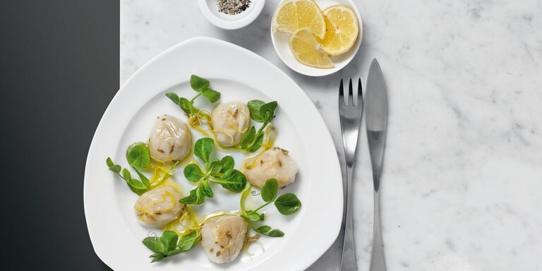 Jakobsmuscheln mit Fenchel