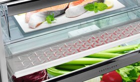 UltraFresh System