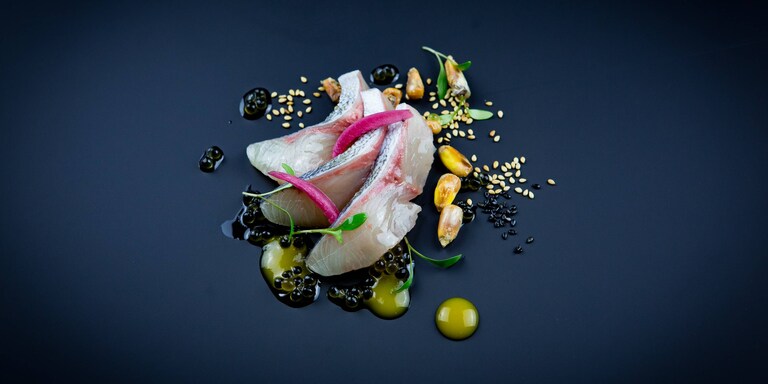 NIKKEI CUISINE –  HAMACHI TIRADITO // MAIS // PISCO SOUR
