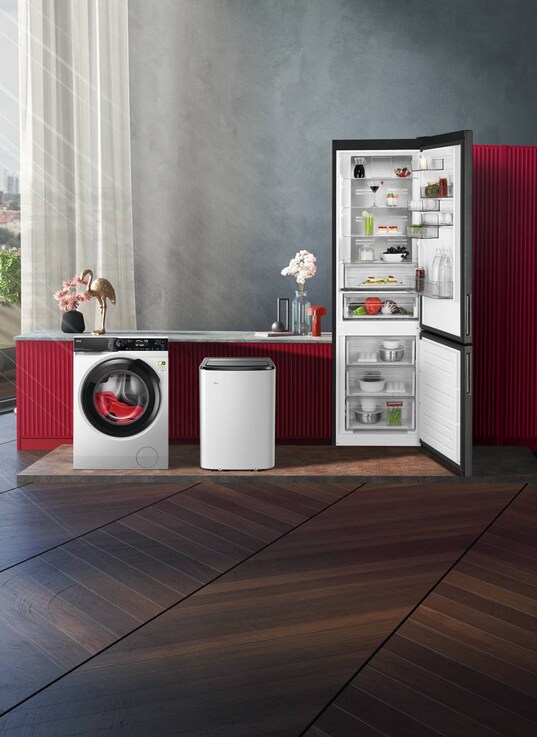 home appliances as oven, air fryer, food procesor, cordless vacuum, christmas tree, christmas decoration