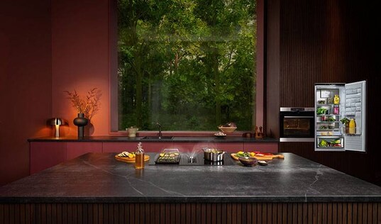 home appliances as oven, air fryer, food procesor, cordless vacuum, christmas tree, christmas decoration