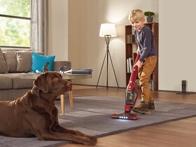 Kabellose Akku-Staubsauger