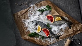 SteamBoost - Fisch