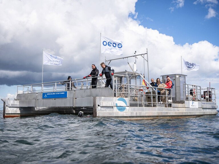 Gemeinsam das Meer von Müll befreien.