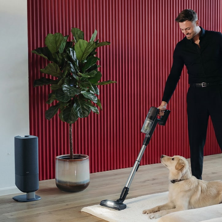 Person saugt mit einem kabellosen Staubsauger einen Teppich, während ein Hund auf dem Boden liegt; im Hintergrund stehen eine Zimmerpflanze und ein zylindrischer Luftreiniger vor einer roten Wand.